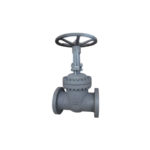1-FLANGE-CAST-STEEL-GATE-VALVE