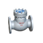 3-DIN-FLANGE-CAST-STEEL-SWING-CHECK-VALVE